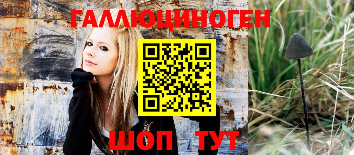 Галлюциногенные грибы Magic Shrooms  Вход с VPN  Нижний Тагил 