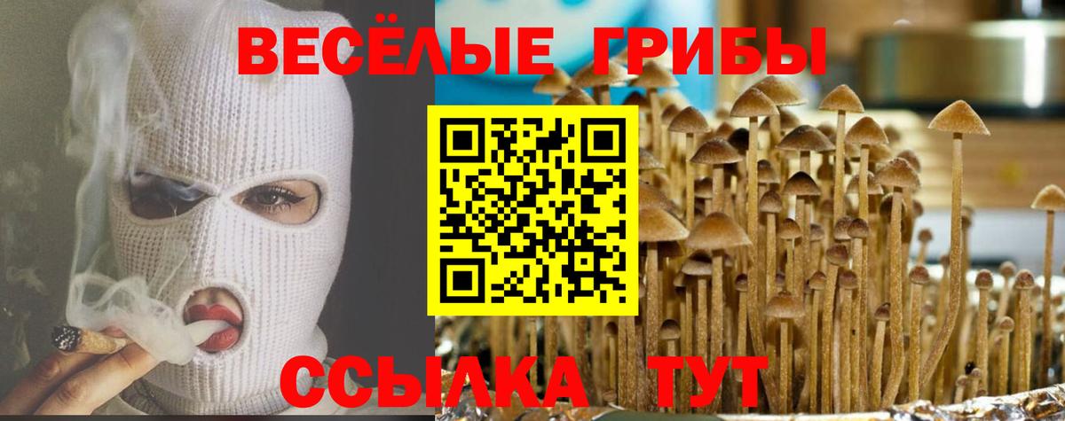 Галлюциногенные грибы мицелий Нижний Тагил